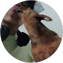Daner Coria equise profile picture